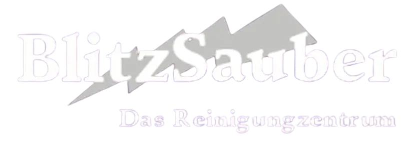 BlitzSauber das Reinigungszentrum Rellingen UG - Fahrzeugpflege - logo