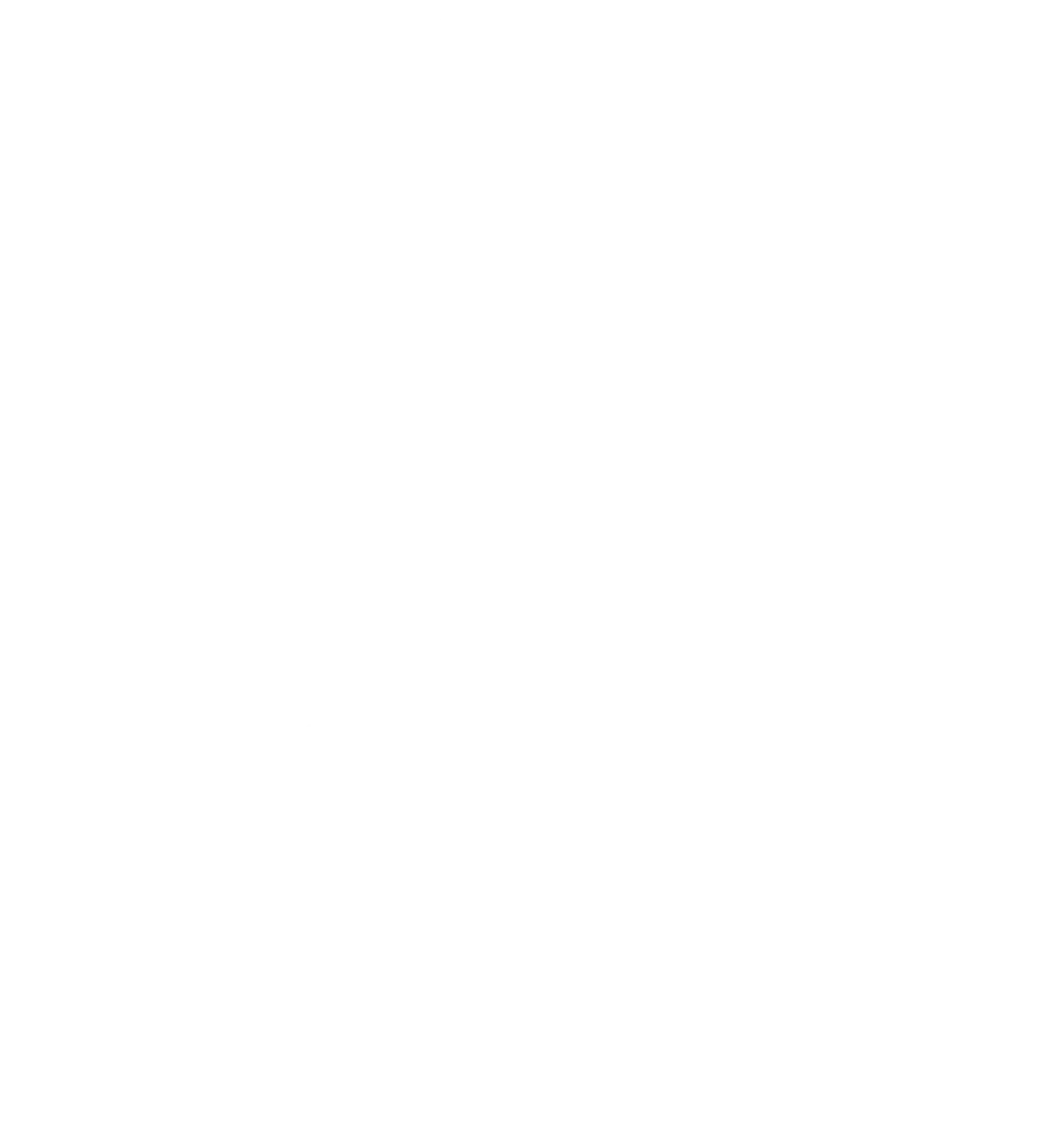 BlitzSauber das Reinigungszentrum Rellingen UG - Fahrzeugpflege - Silhouette-Symbol